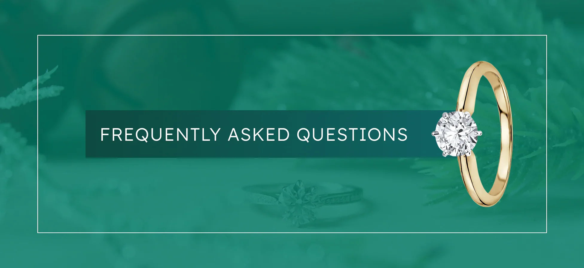 Frequently Asked Questions
